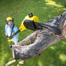 Lawn Maintenance Plans in Egypt, AL
